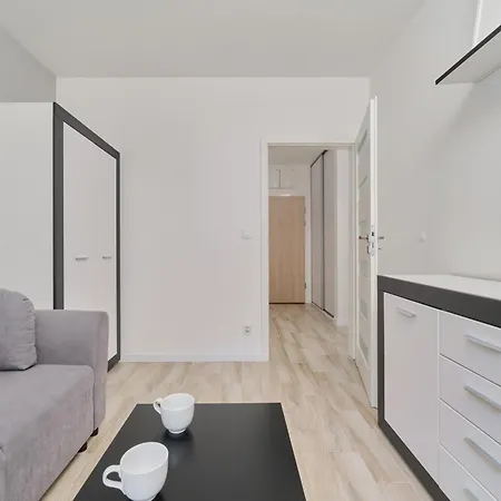 Quiet With Balcony Zakladowa By Renters Daire *